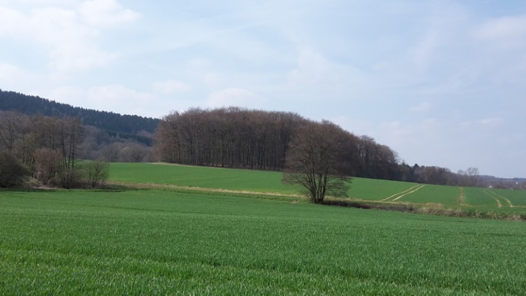 Historisch-naturkundliche Wanderung am Hengeberg