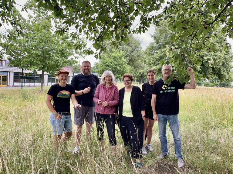 Stadtpark für alle: Grüner Antrag zur Öffnung des Stadtparkgeländes einstimmig beschlossen