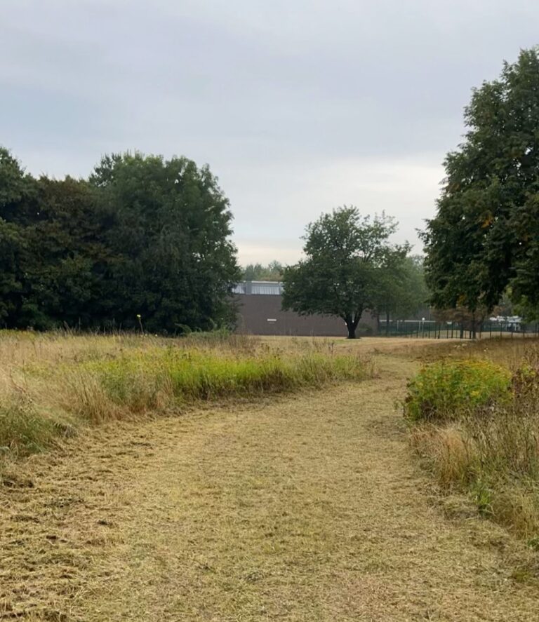 Öffnung des künftigen Stadtpark-Geländes bestätigt richtigen Weg